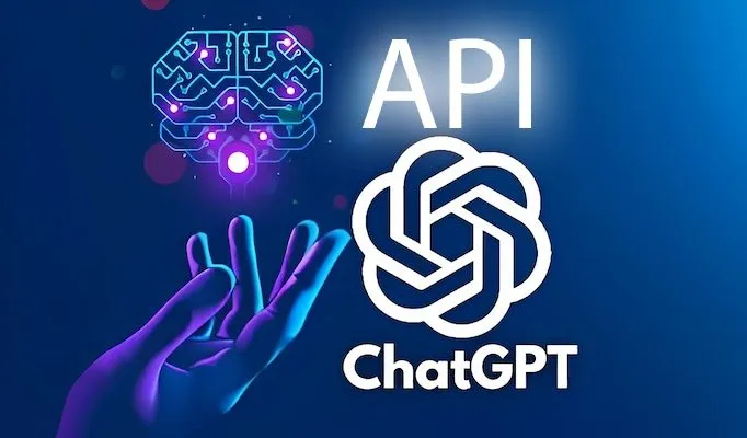 Chat GPT API Usage