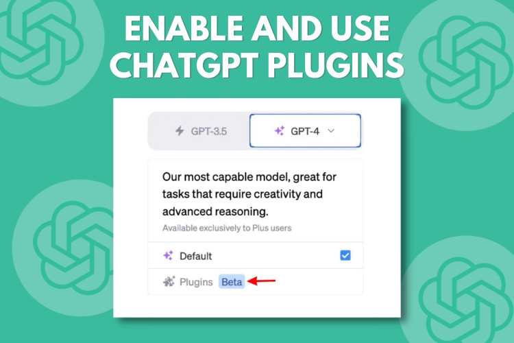 How to Get Chat GPT Plugins ?